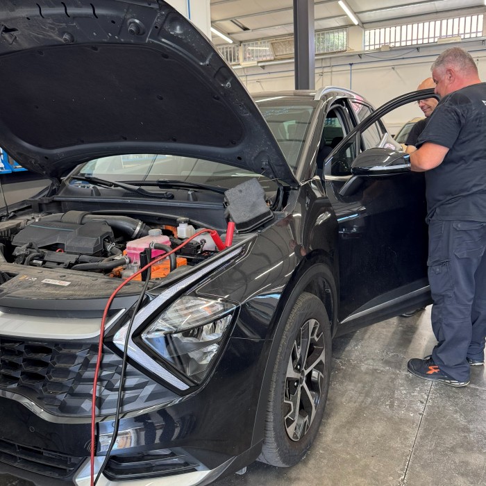 piermarini auto, magia auto pomezia, forthing, dfsk, kgm, pavona castelli romani