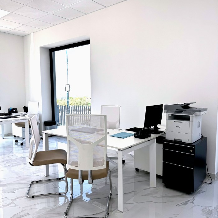 piermarini auto, magia auto pomezia, seat, ibiza, arona, mii, concessionaria, service seat, officina seat, pavona castelli romani